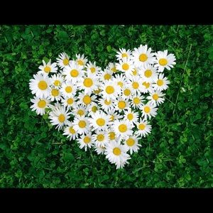 Meet your Posher, Xenia